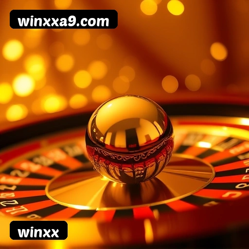 Requisitos do APK winxx para Android — compatibilidade e uso no celular